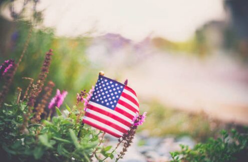 A small American flag nestled among green foliage and purple wildflowers, with a soft, blurred garden background in warm, hazy light.