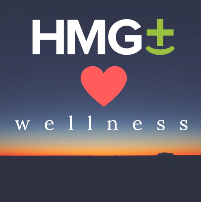 HMG+ loves wellness — the HMG+ logo in white and green with a red heart icon and the word 'wellness' in white text, set against a twilight horizon with warm orange and blue tones.